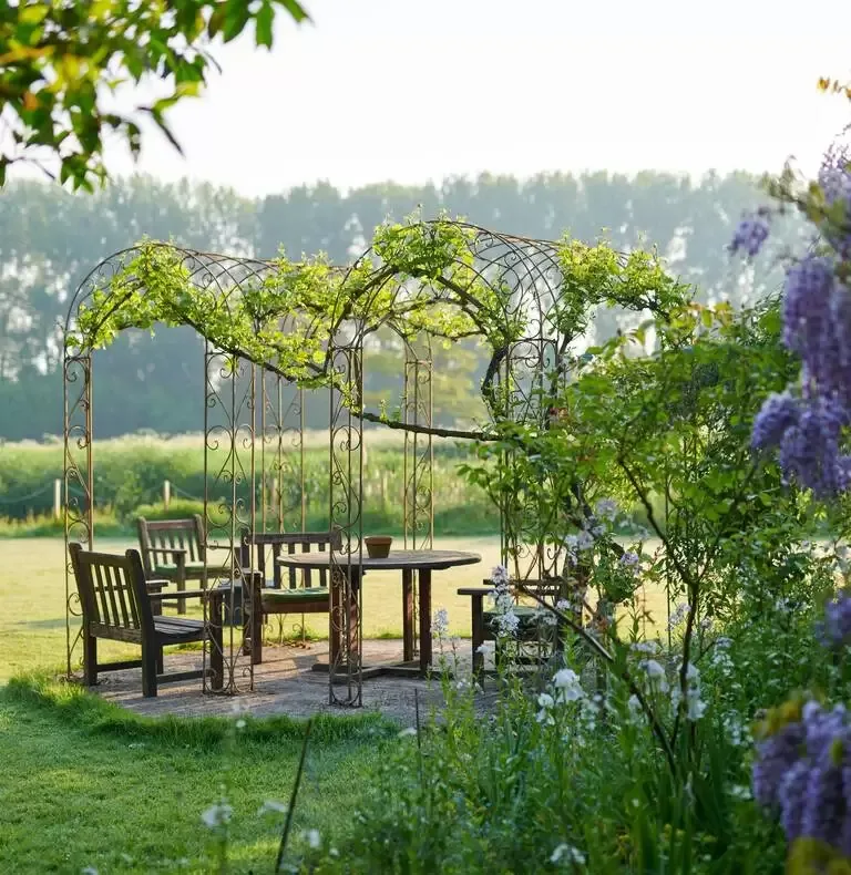 Wisteria and a garden arbour at Champneys Henlow